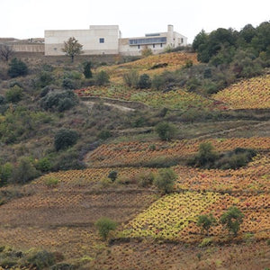 Palacios Villa de Corullon Bierzo 2013