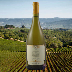 One of Italy's most extraordinary white wines