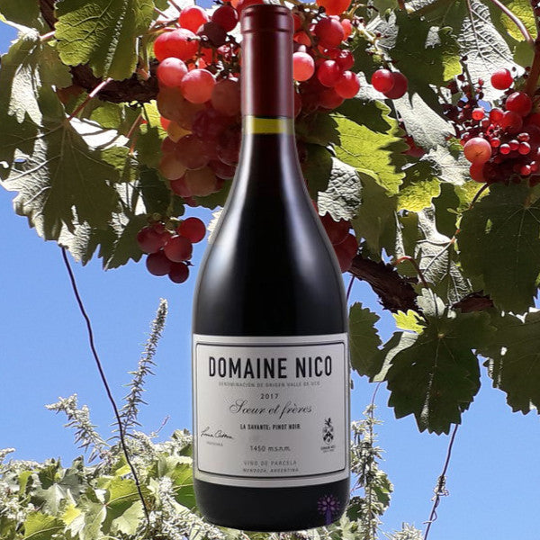 Another sensational Pinot Noir from Domaine Nico