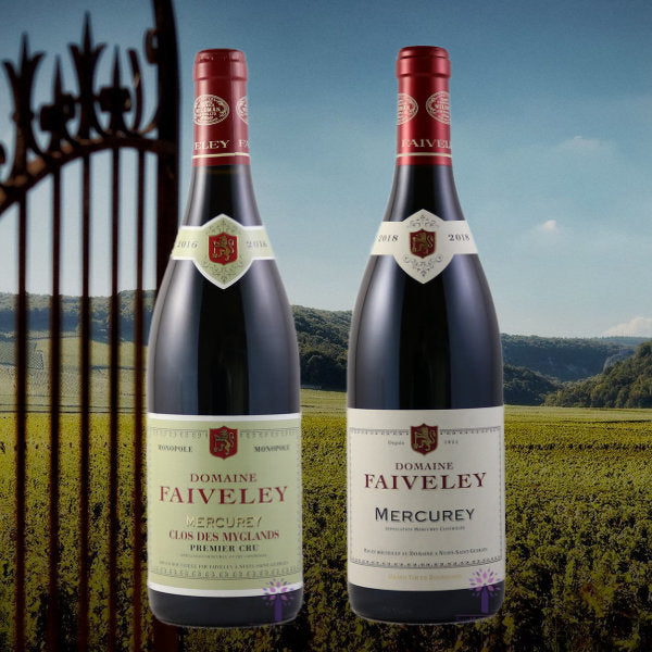 Two iconic, reasonably priced Red Burgundies