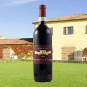 A fantastic value Tuscan red