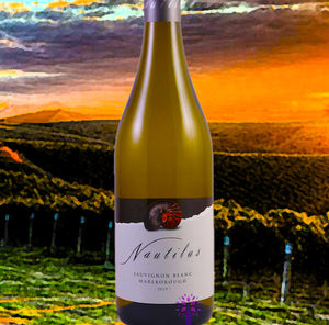 An affordable New Zealand Sauvignon Blanc you will love