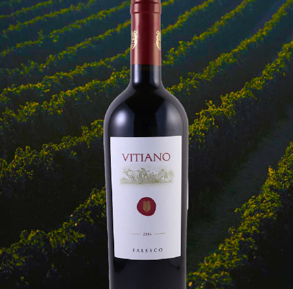 An incredible value Italian red wine