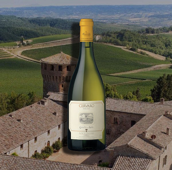 The lowest price anywhere on one of Italy's finest white wines