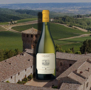 The lowest price anywhere on one of Italy's finest white wines