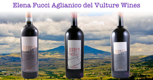 Elena Fucci Aglianico del Vulture Wines