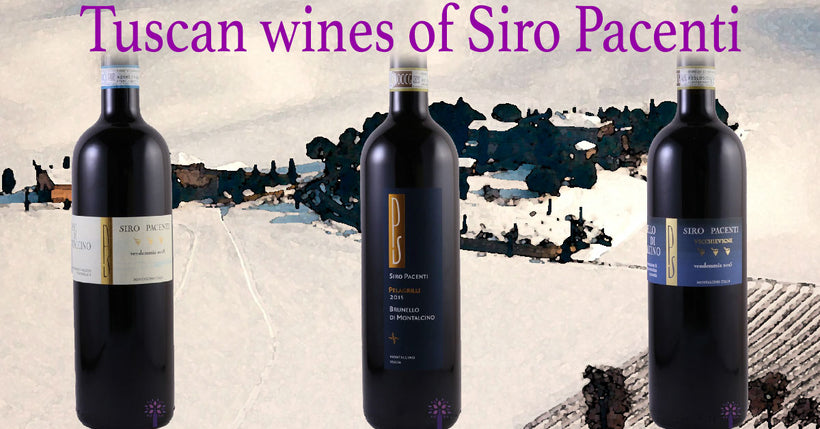 Siro Pacenti Wines