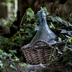 Featured Wines