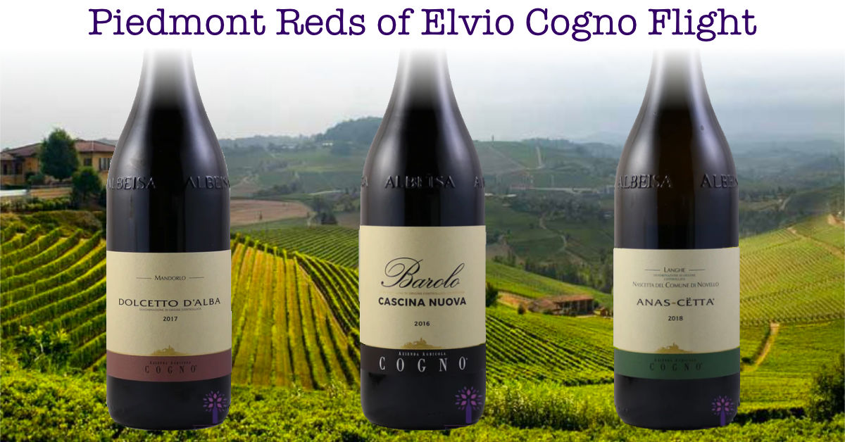 Piedmont Reds of Elvio Cogno Flight