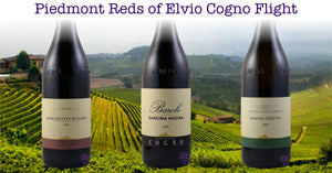 Piedmont Reds of Elvio Cogno Flight